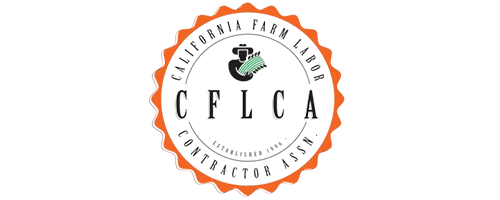 main_logo-removebg-preview